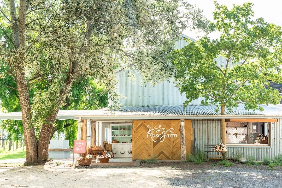 Post 8 by Lorn Rose Farm on Instagram (image)