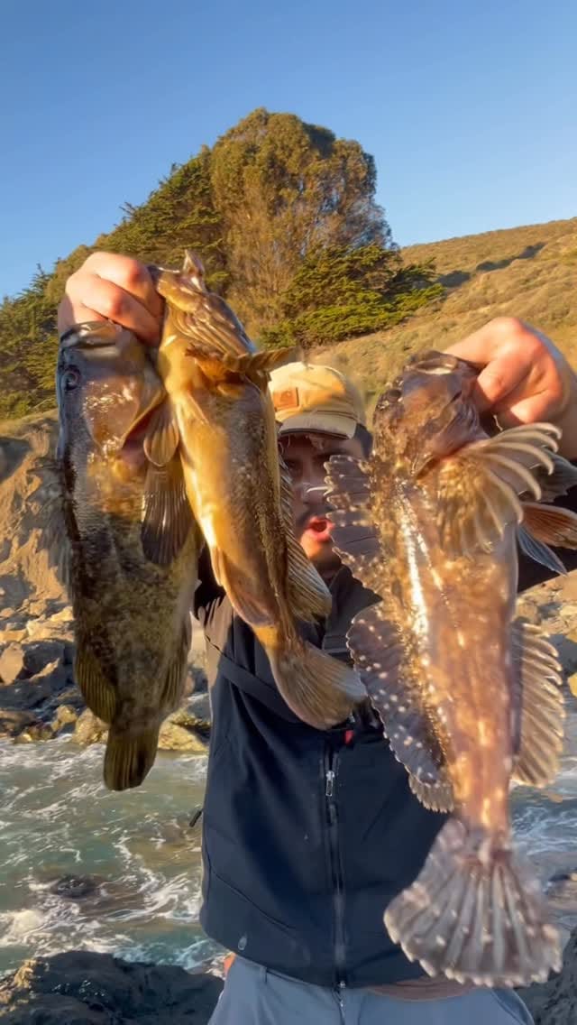 Post 6 by Manny’s Outside on Instagram (video)