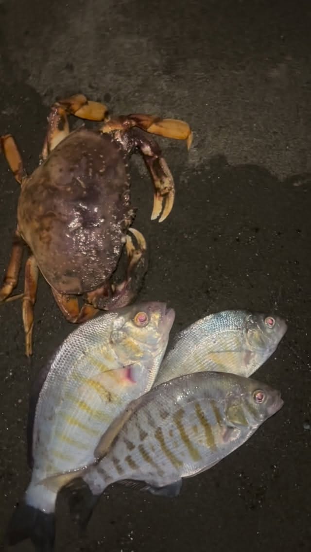Post 10 by Manny’s Outside on Instagram (video)
