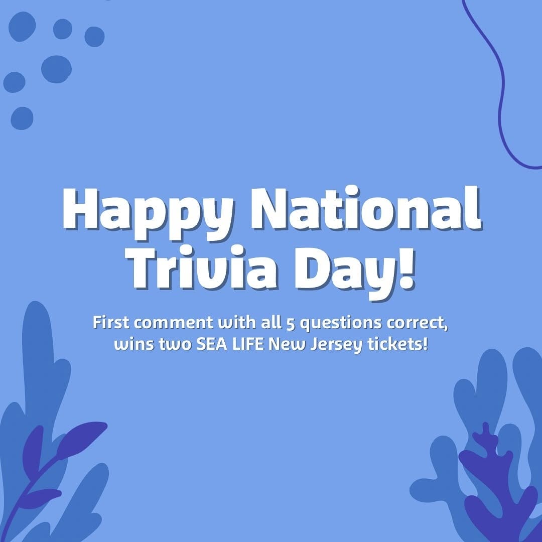 Post 7 by New Jersey SEA LIFE® Aquarium on Instagram (carousel)