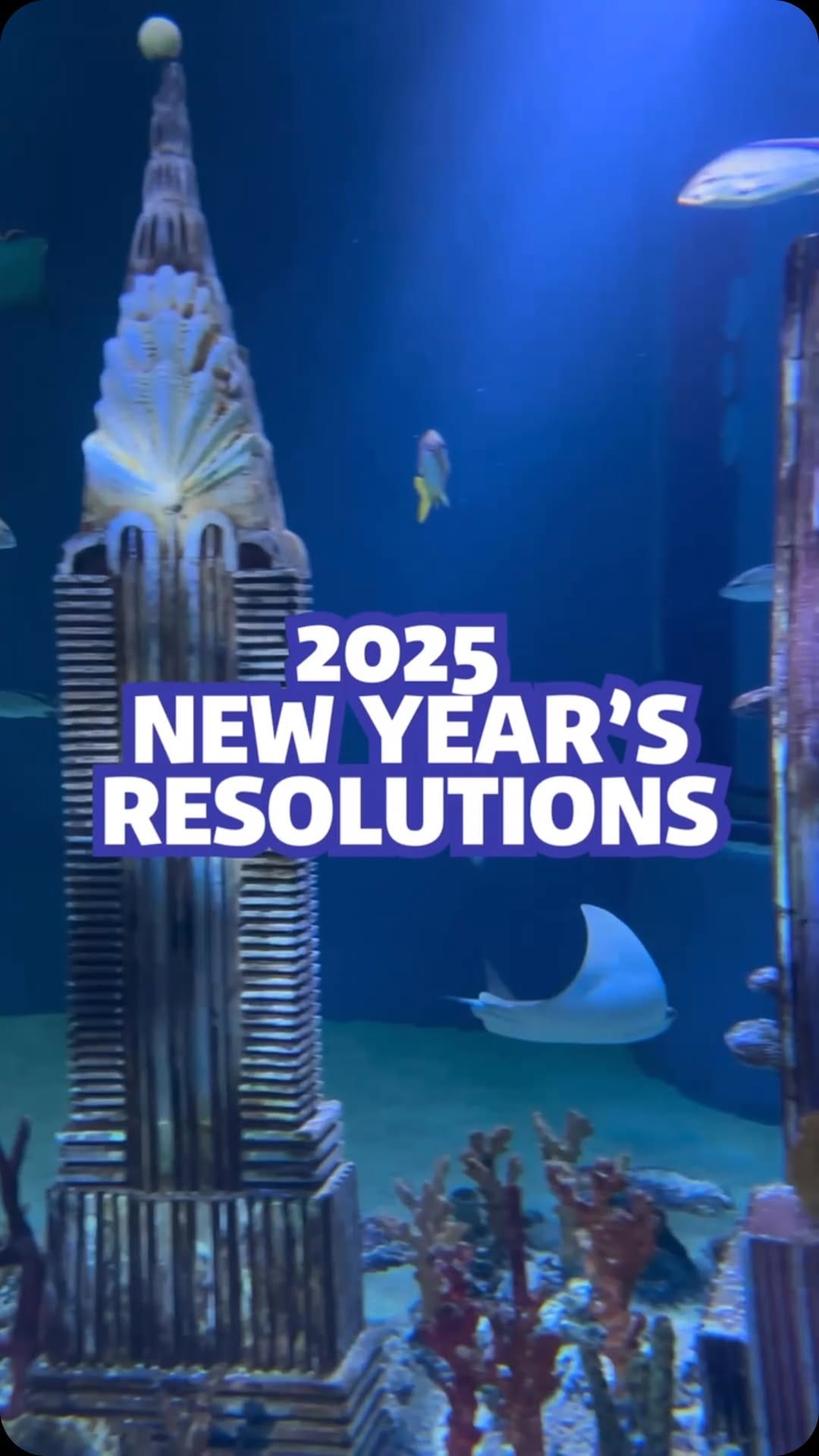 Post 8 by New Jersey SEA LIFE® Aquarium on Instagram (video)