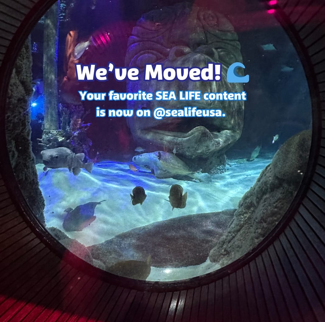 Post 5 by New Jersey SEA LIFE® Aquarium on Instagram (carousel)