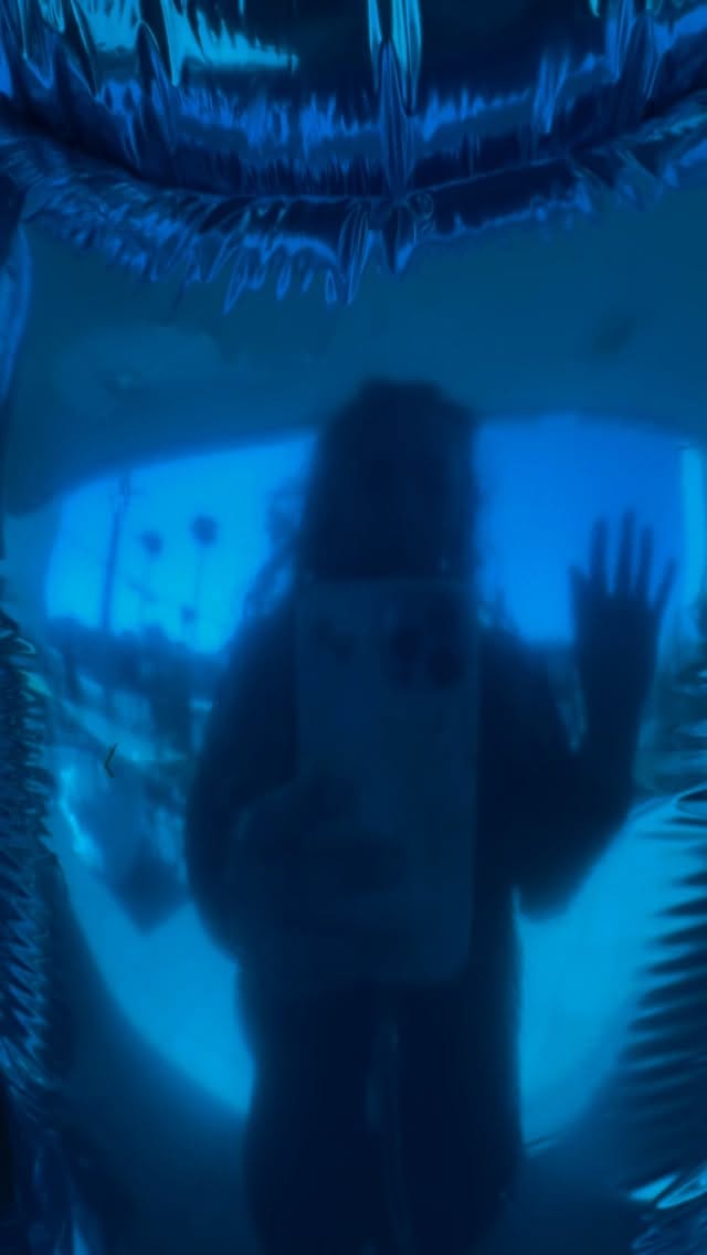 Post 4 by SADIE BROOK on Instagram (video)