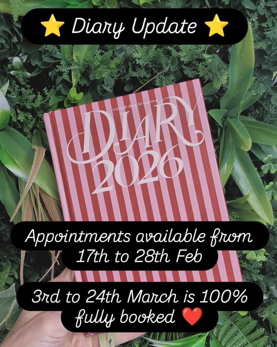 Post 5 by Vogue Dog Grooming on Instagram (image)
