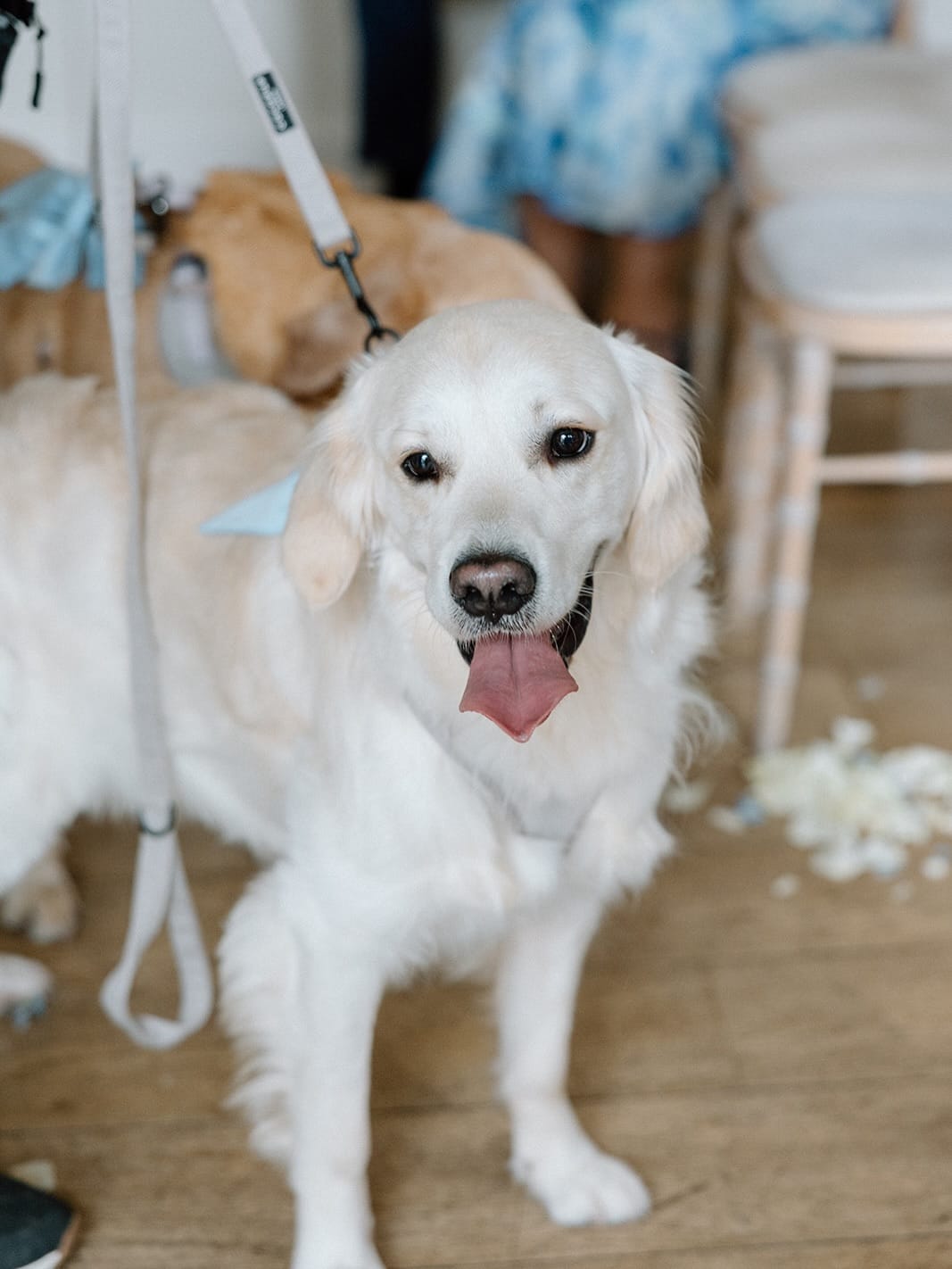 Post 9 by Alrewas Hayes|Luxury Country Estate Wedding Venue|Staffordshire on Instagram (carousel)
