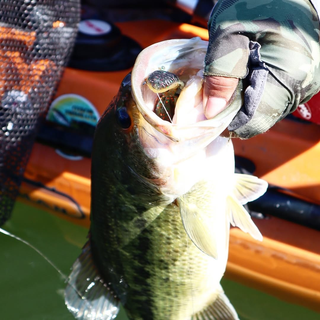 Post 7 by PNW Bass Candy on Instagram (carousel)