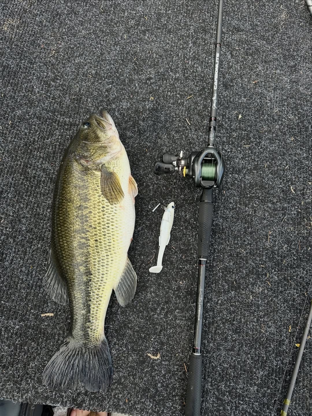 Post 6 by PNW Bass Candy on Instagram (carousel)