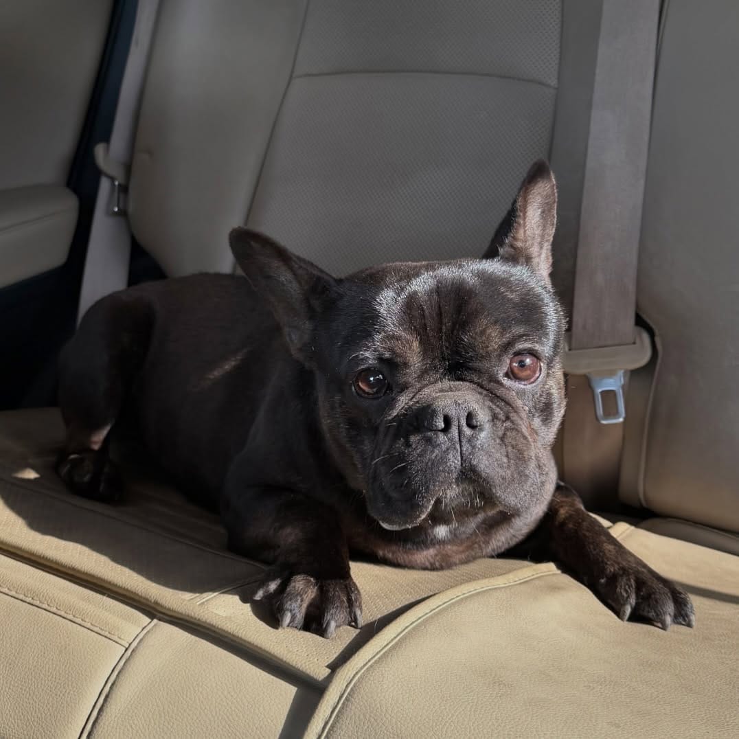 Post 2 by @animalinterest on Instagram (image)