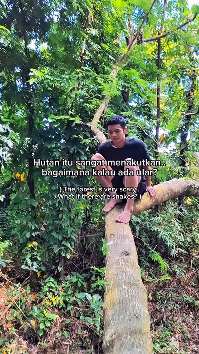 Post 1 by RAFI PETUALANG 🐾🐍🐊🦎🐢 on Instagram (video)