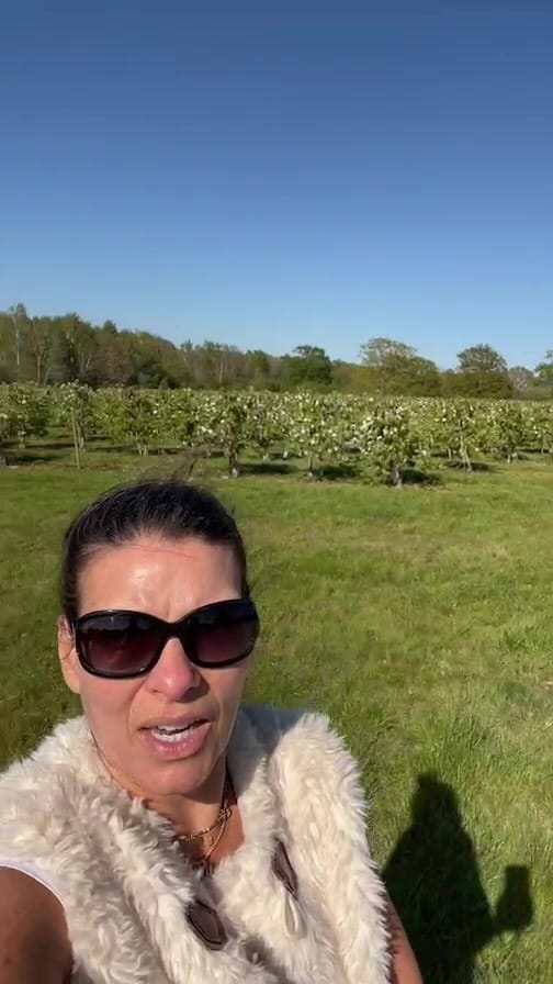 Post 10 by Barn Wedding Venue - Southeast UK on Instagram (video)