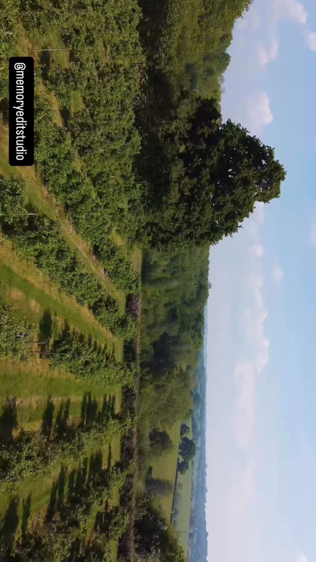 Post 6 by Barn Wedding Venue - Southeast UK on Instagram (video)