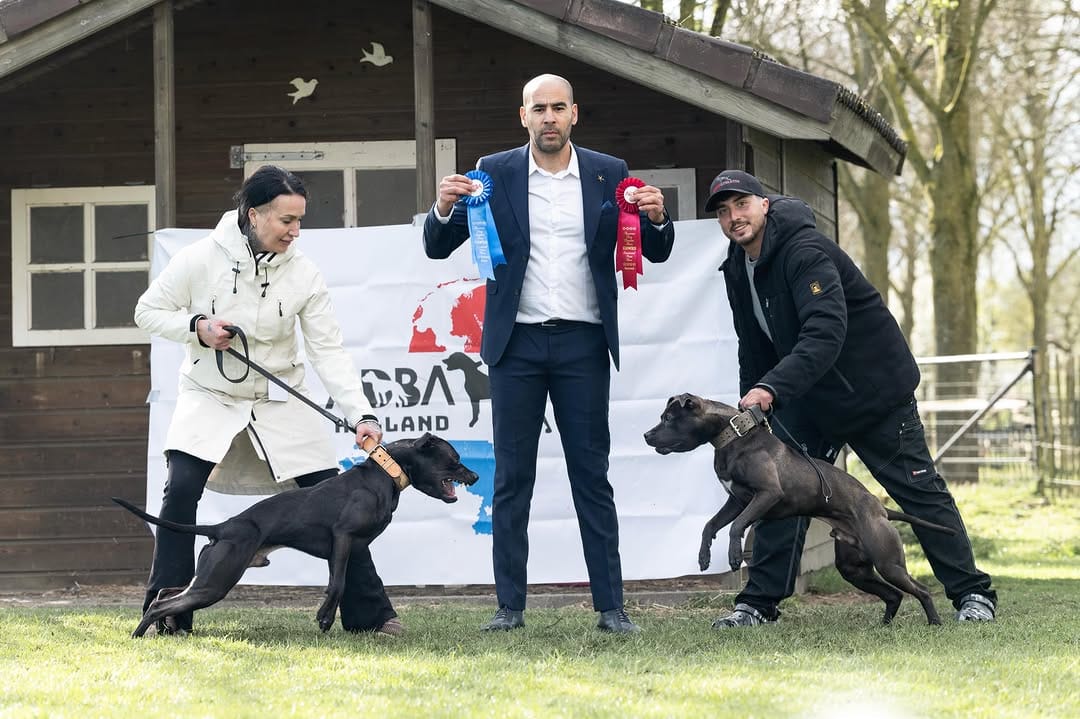Post 3 by Framedog Kennel on Instagram (image)