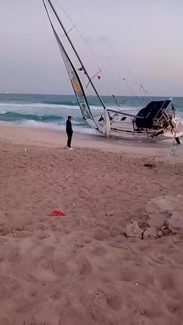 Post 8 by Mohammed Zaanoun on Instagram (video)