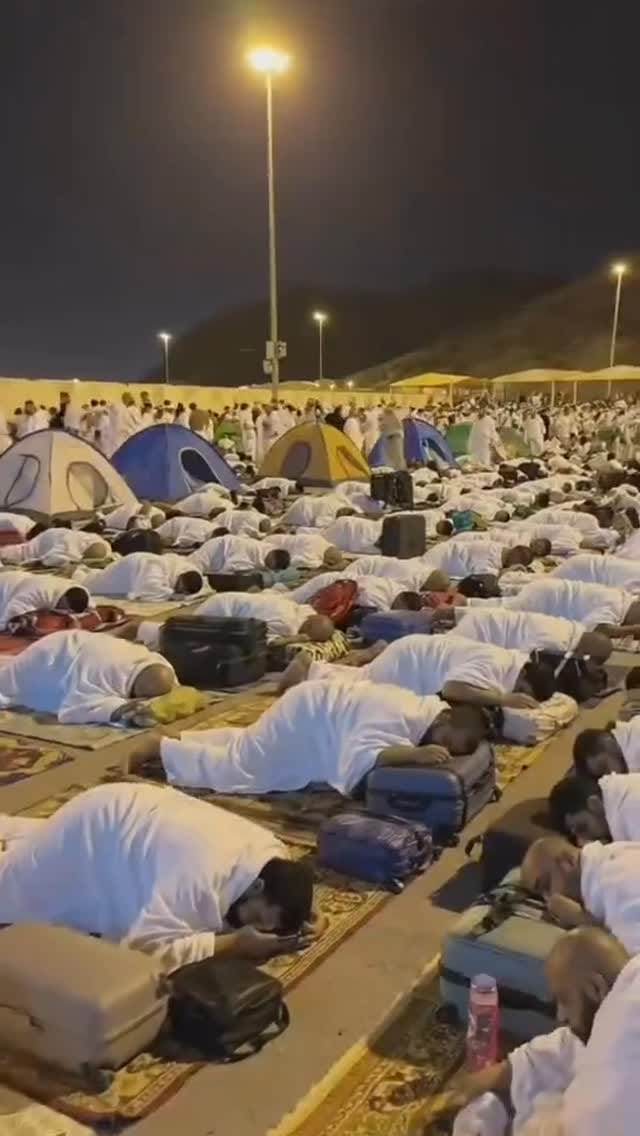 Post 9 by Mohammed Zaanoun on Instagram (video)