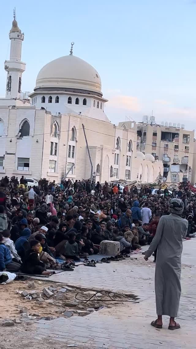 Post 3 by Mohammed Zaanoun on Instagram (video)