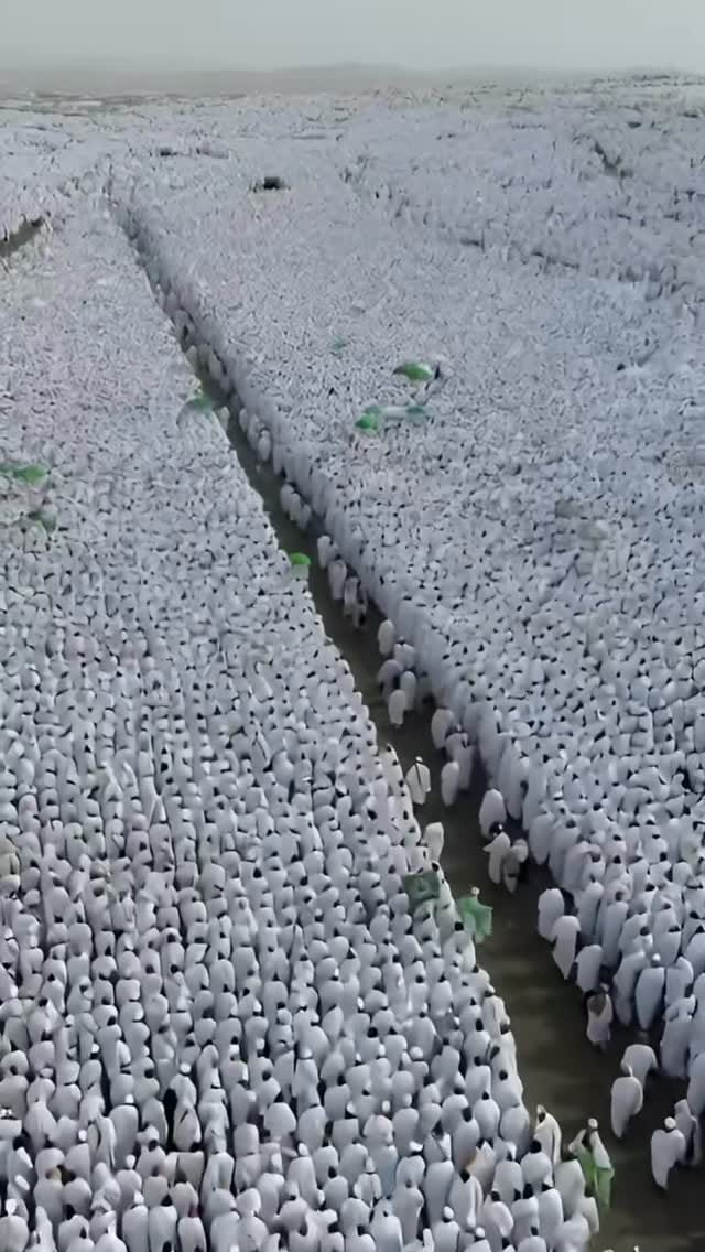 Post 5 by Mohammed Zaanoun on Instagram (video)
