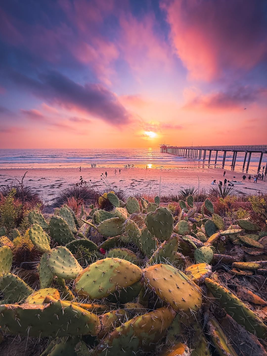 Post 3 by Josh L | California | Photographer on Instagram (image)