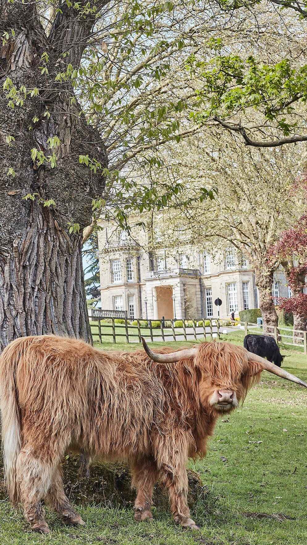 Post 8 by HEDSOR HOUSE - Tatler & Vogue’s Dream Venue on Instagram (video)