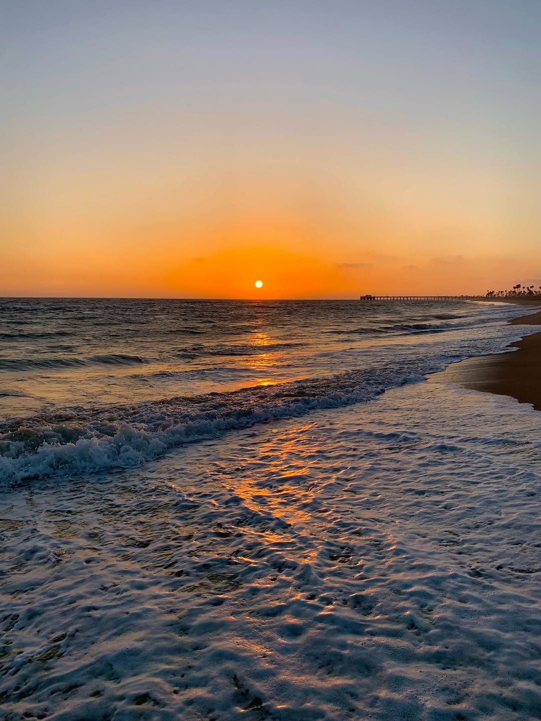 Post 7 by Seagull Wave on Instagram (image)
