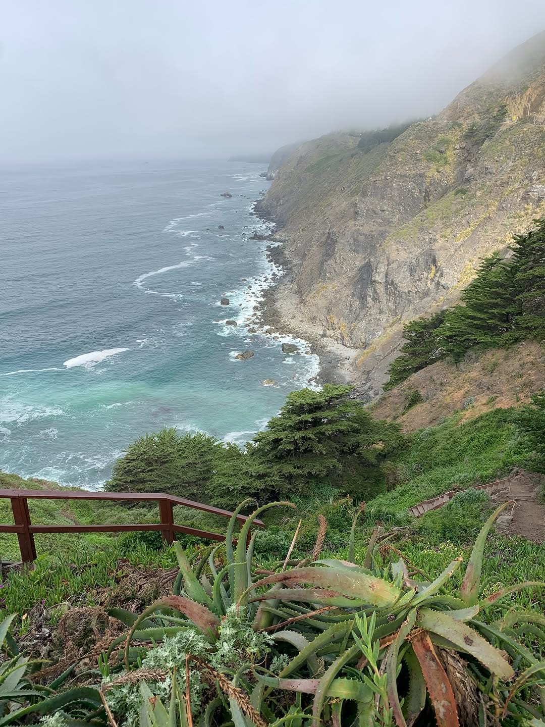 Post 6 by Seagull Wave on Instagram (image)