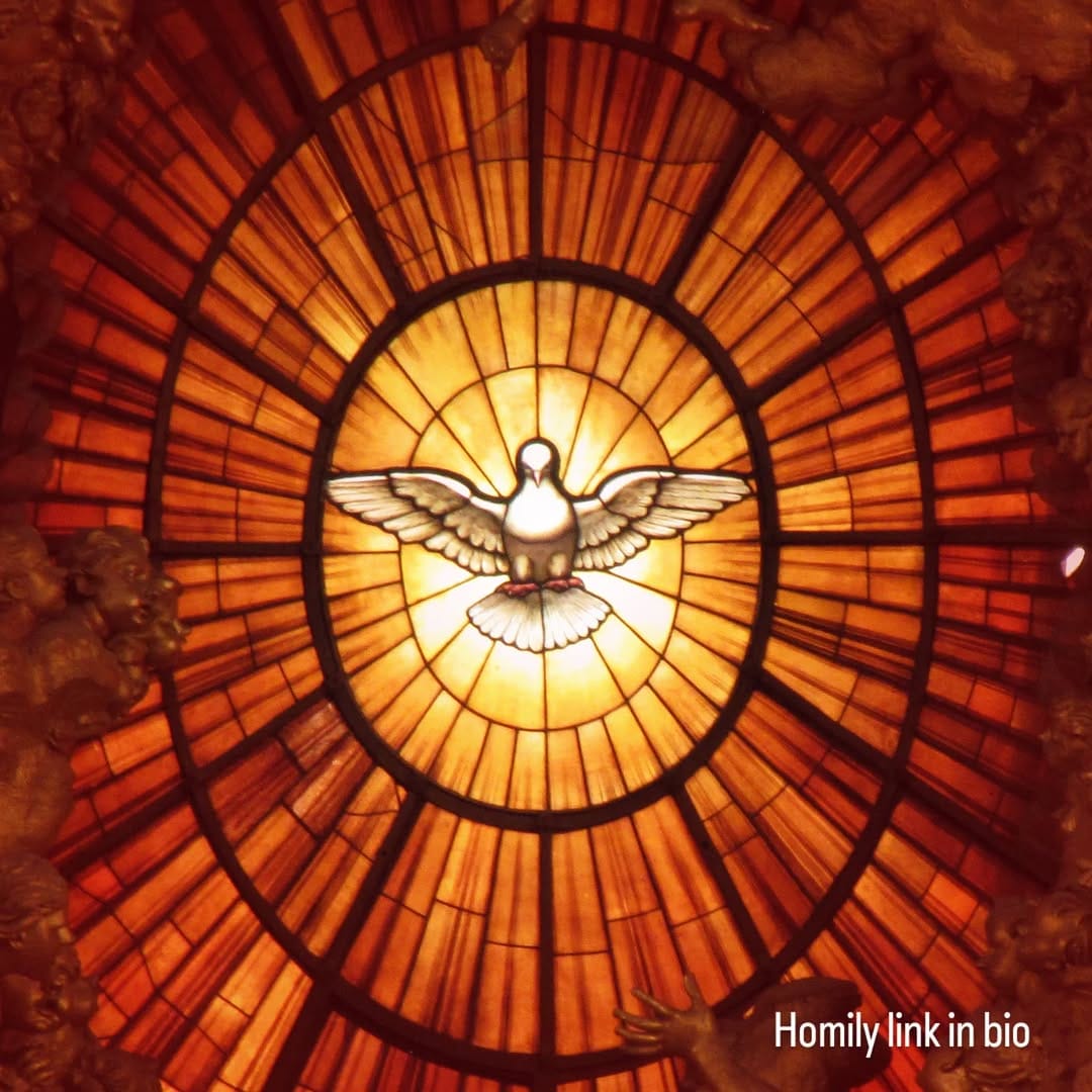 Post 3 by Basilica of St. Patrick's Old Cathedral on Instagram (image)