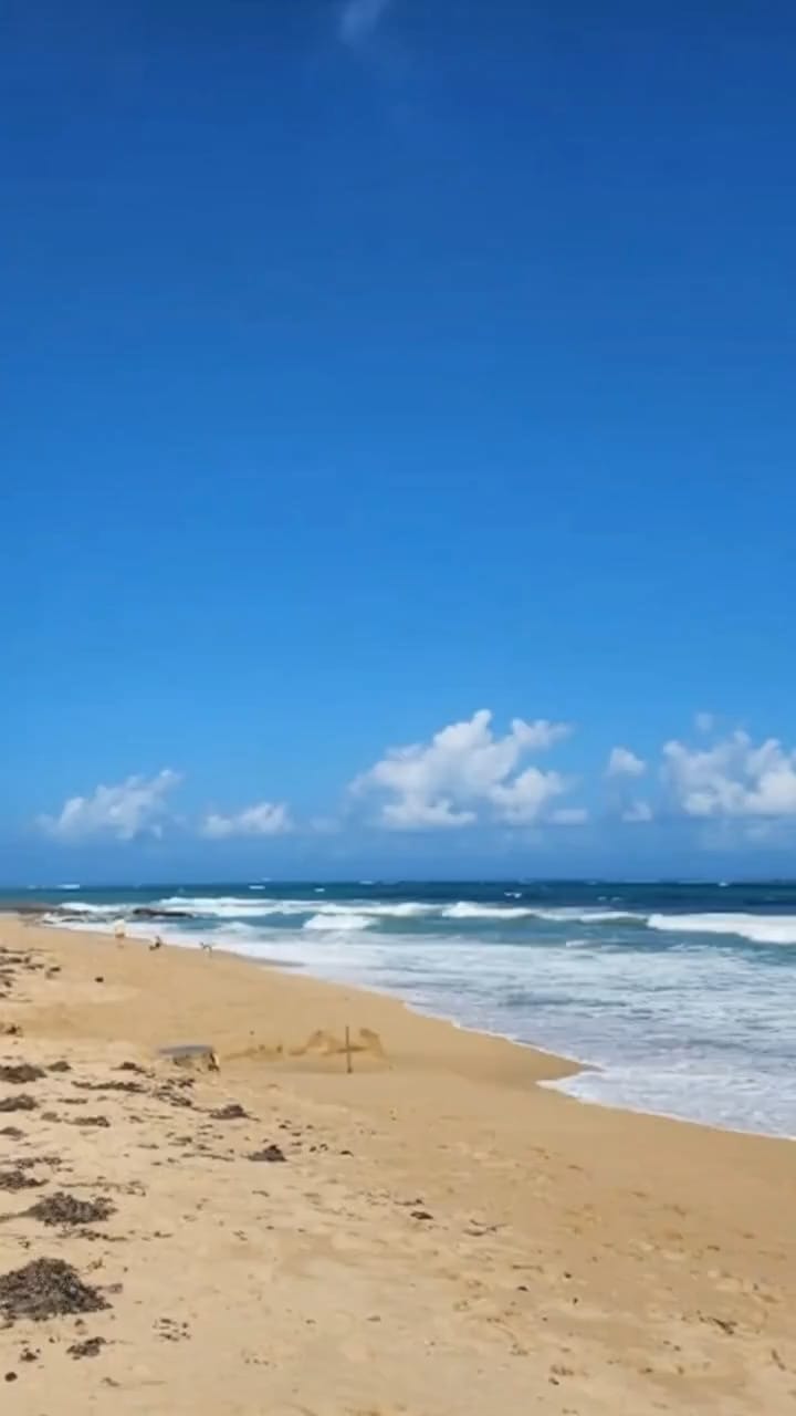 Post 3 by KTJ Krug LLC on Instagram (video)