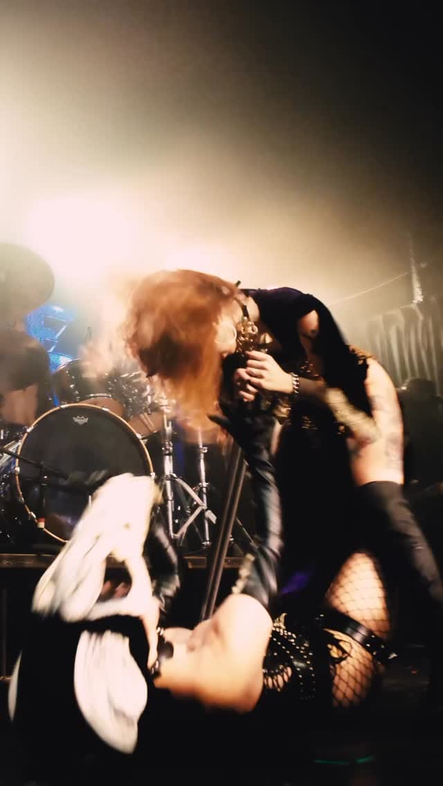 Post 9 by Travis Trautt | Tour Photographer | live music on Instagram (video)