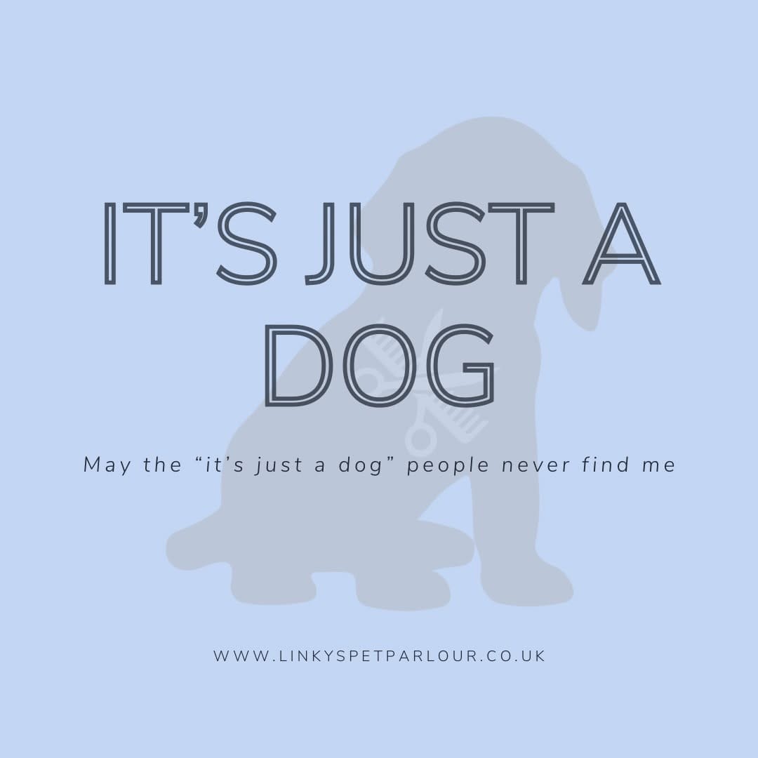 Post 6 by Jenny Man | Holistic Groomer, Asian Fusion Pet Stylist on Instagram (image)