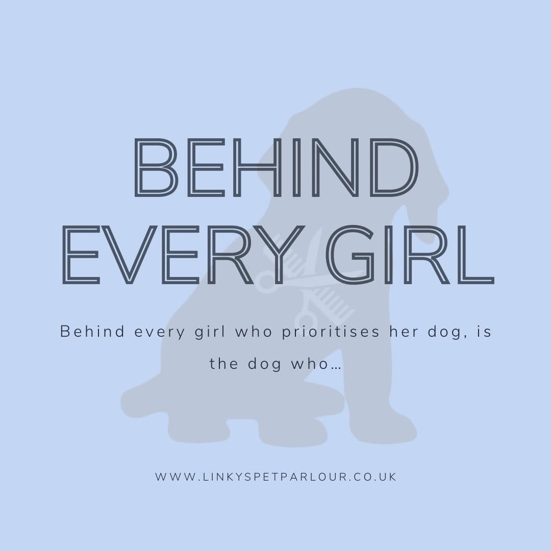 Post 2 by Jenny Man | Holistic Groomer, Asian Fusion Pet Stylist on Instagram (carousel)