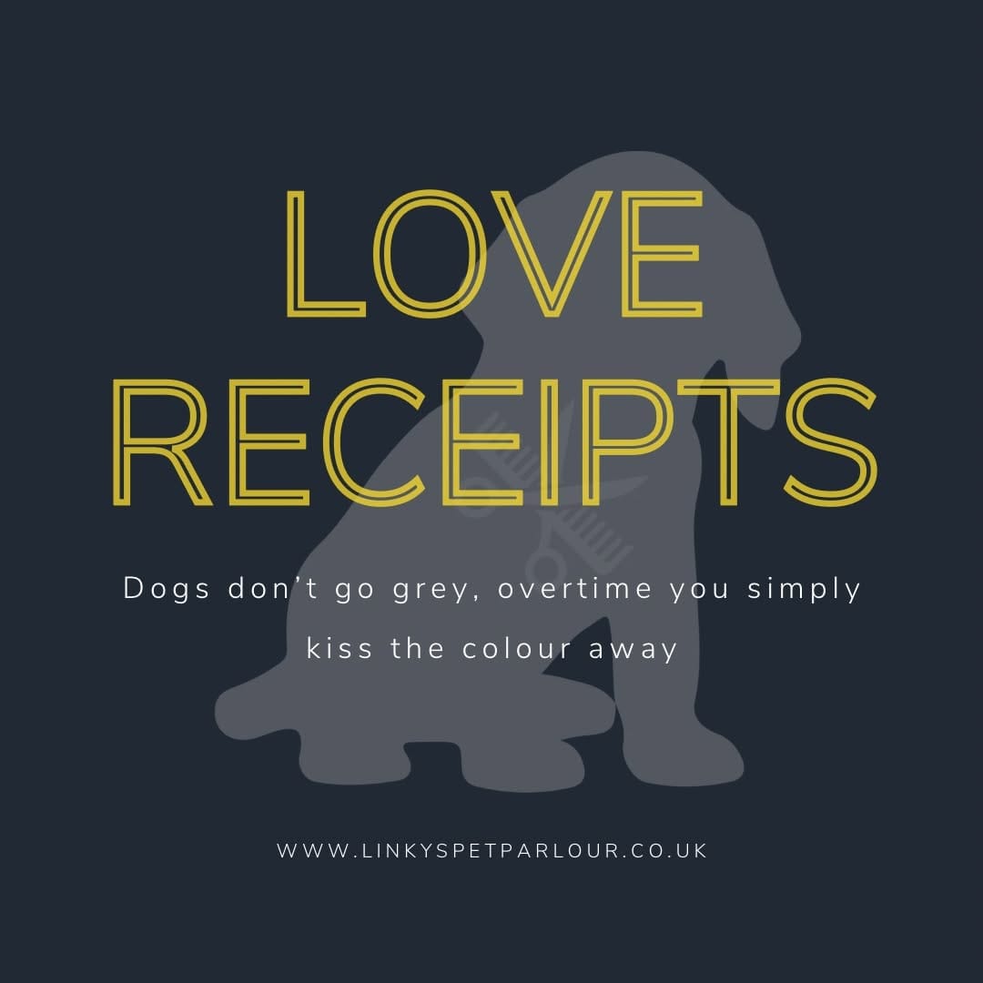 Post 4 by Jenny Man | Holistic Groomer, Asian Fusion Pet Stylist on Instagram (image)
