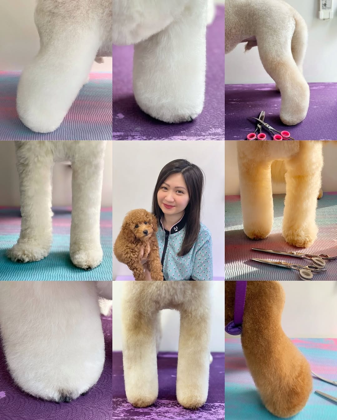 Post 9 by Jenny Man | Holistic Groomer, Asian Fusion Pet Stylist on Instagram (carousel)