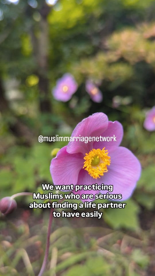 Post 2 by Muslim Marriage Network on Instagram (video)