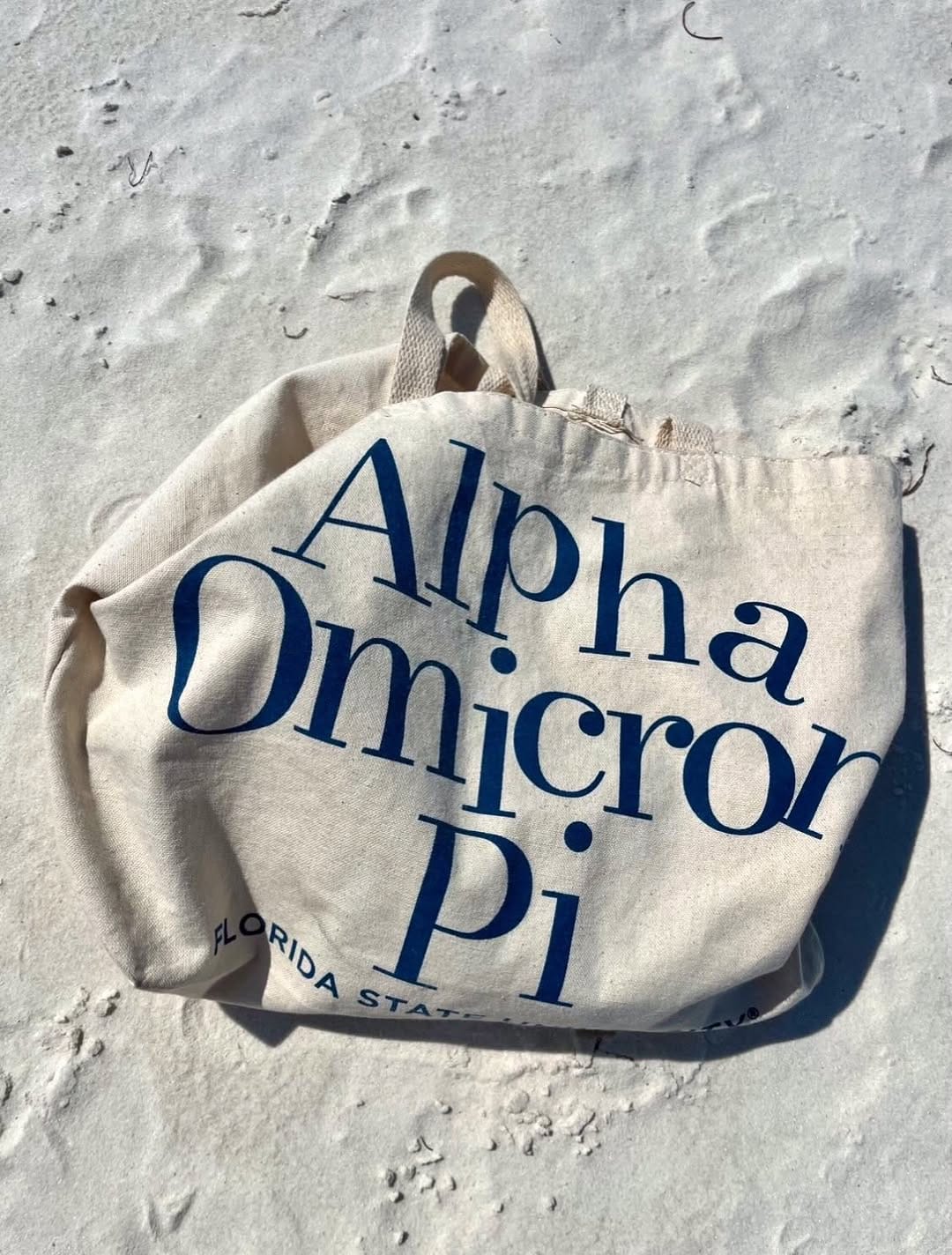 Post 7 by ALPHA OMICRON PI on Instagram (carousel)
