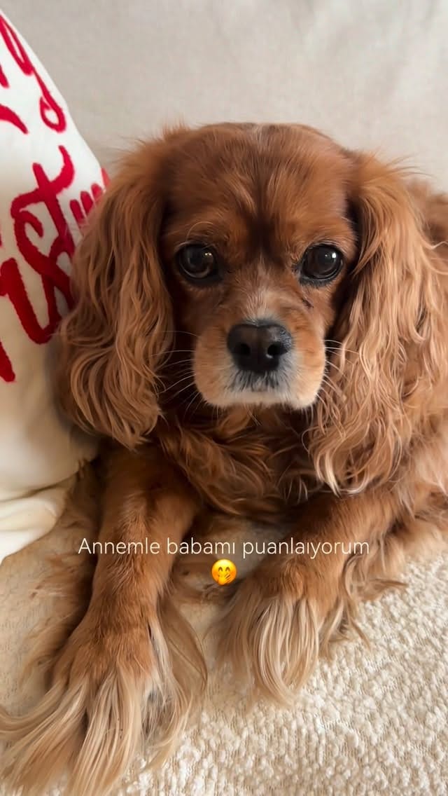 Post 5 by Kuki ve Annesi on Instagram (video)