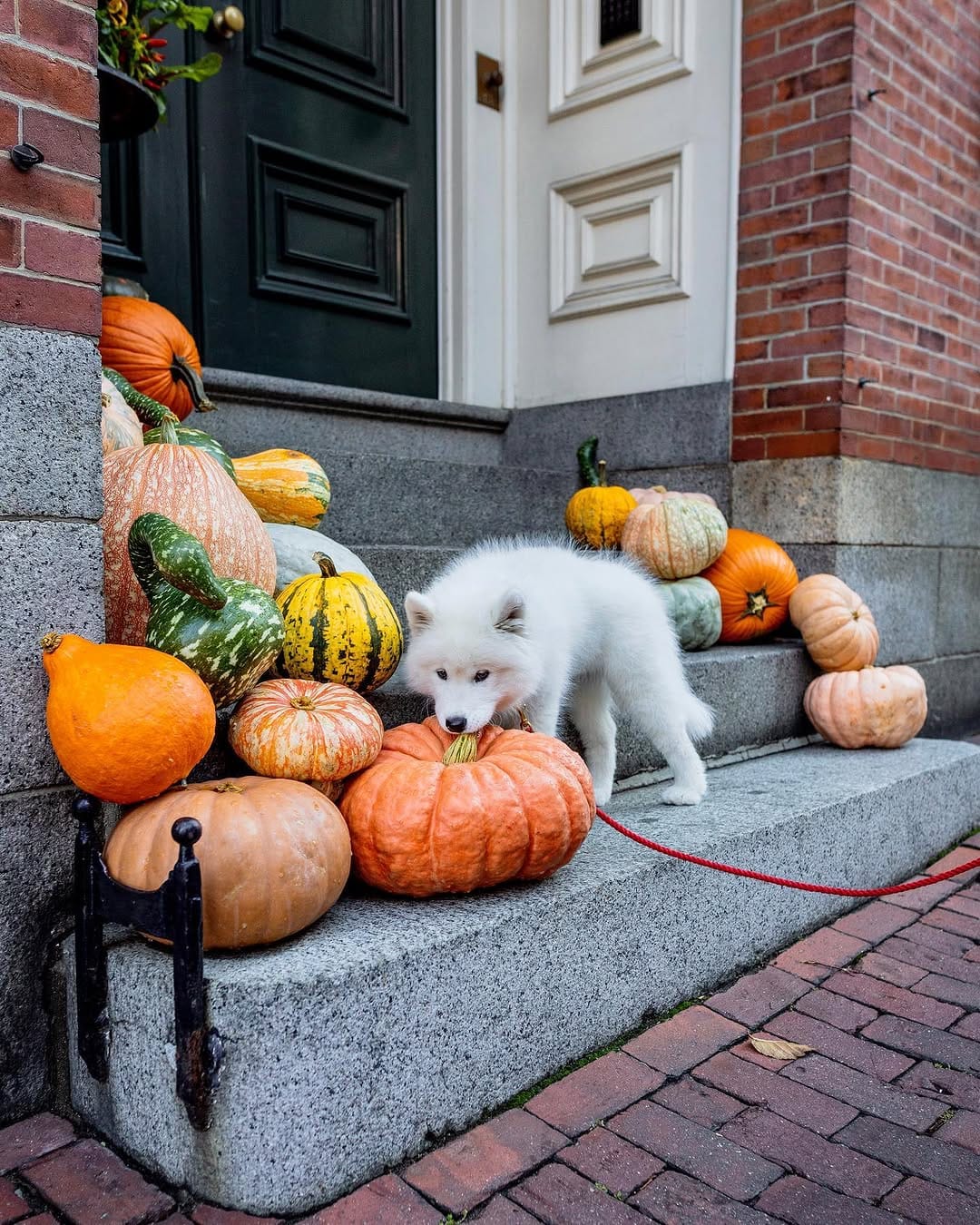 Post 1 by Katherine M | Photography on Instagram (image)
