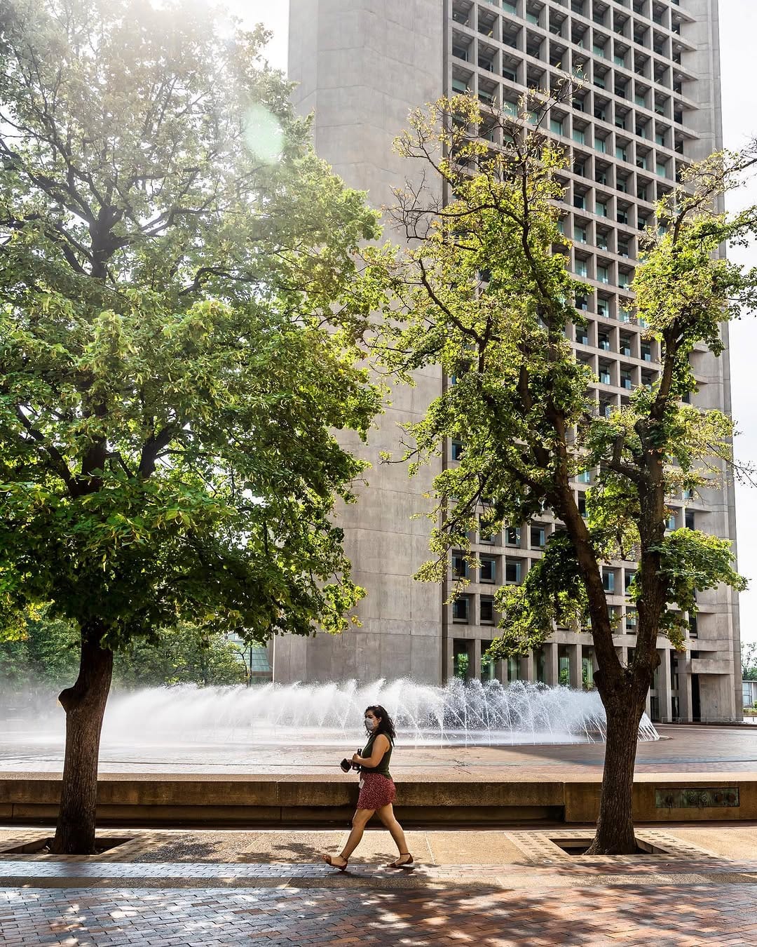 Post 4 by Katherine M | Photography on Instagram (image)