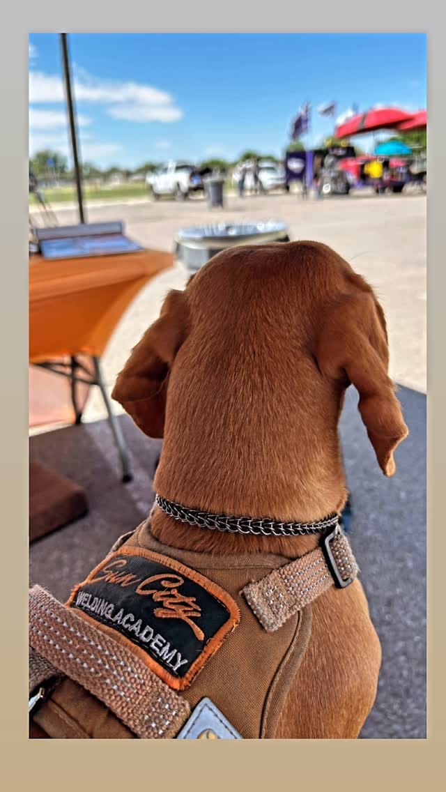Post 7 by SUN CITY WELDING ACADEMY on Instagram (video)