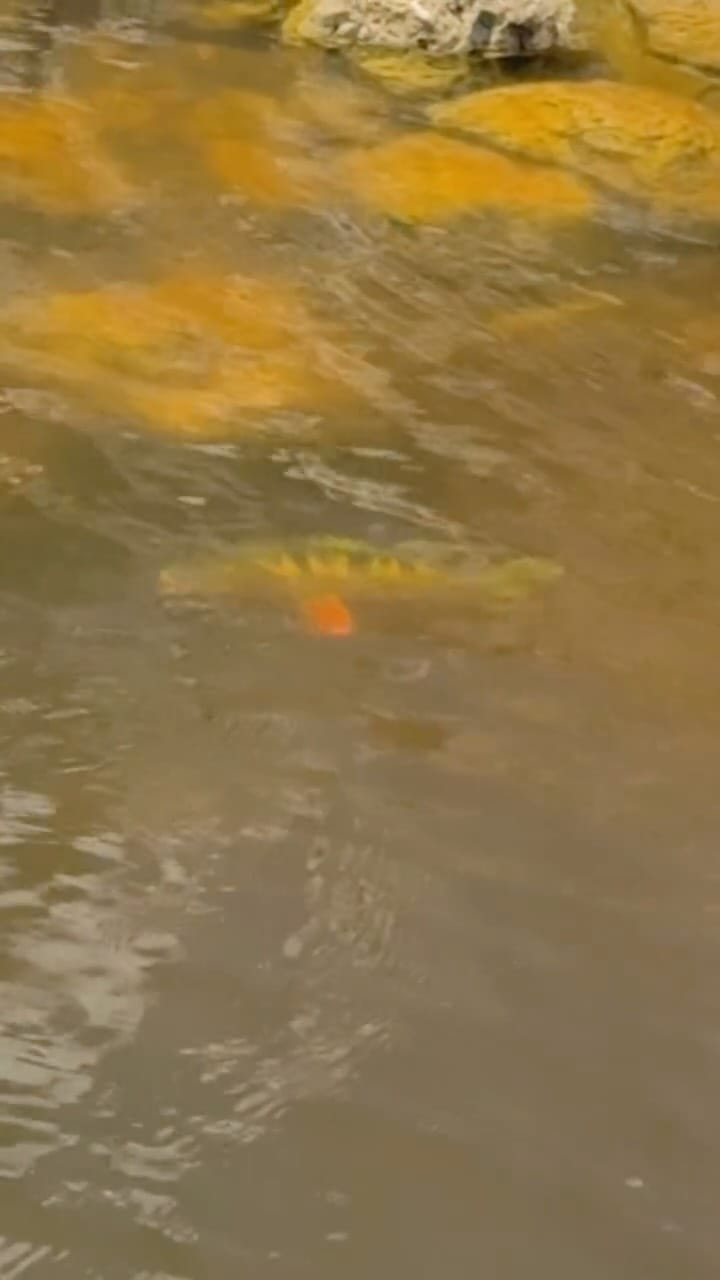 Post 8 by Captain Eric Planer on Instagram (video)