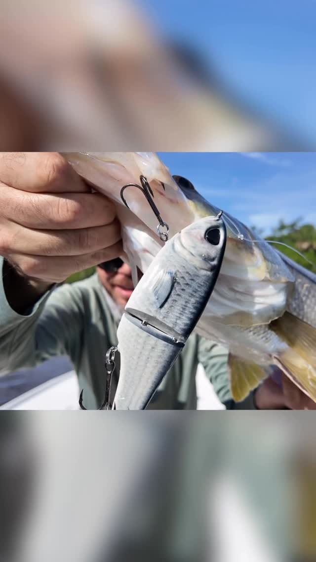 Post 2 by Captain Eric Planer on Instagram (video)