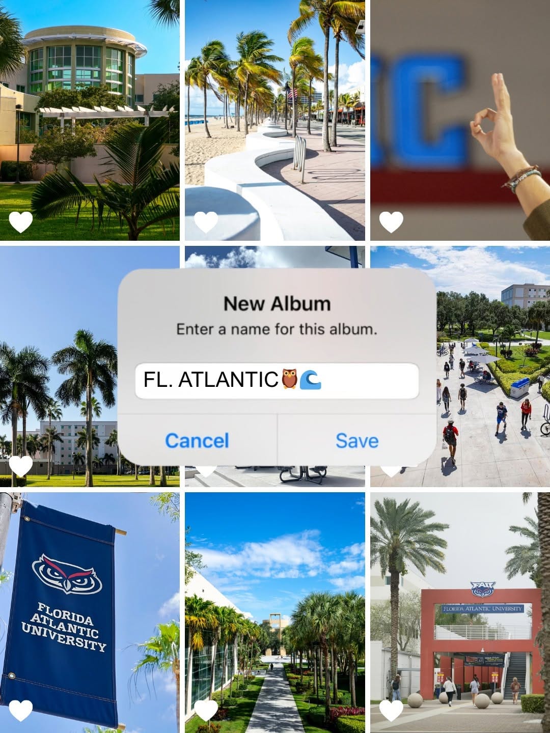 Post 1 by Florida Atlantic Admissions on Instagram (image)