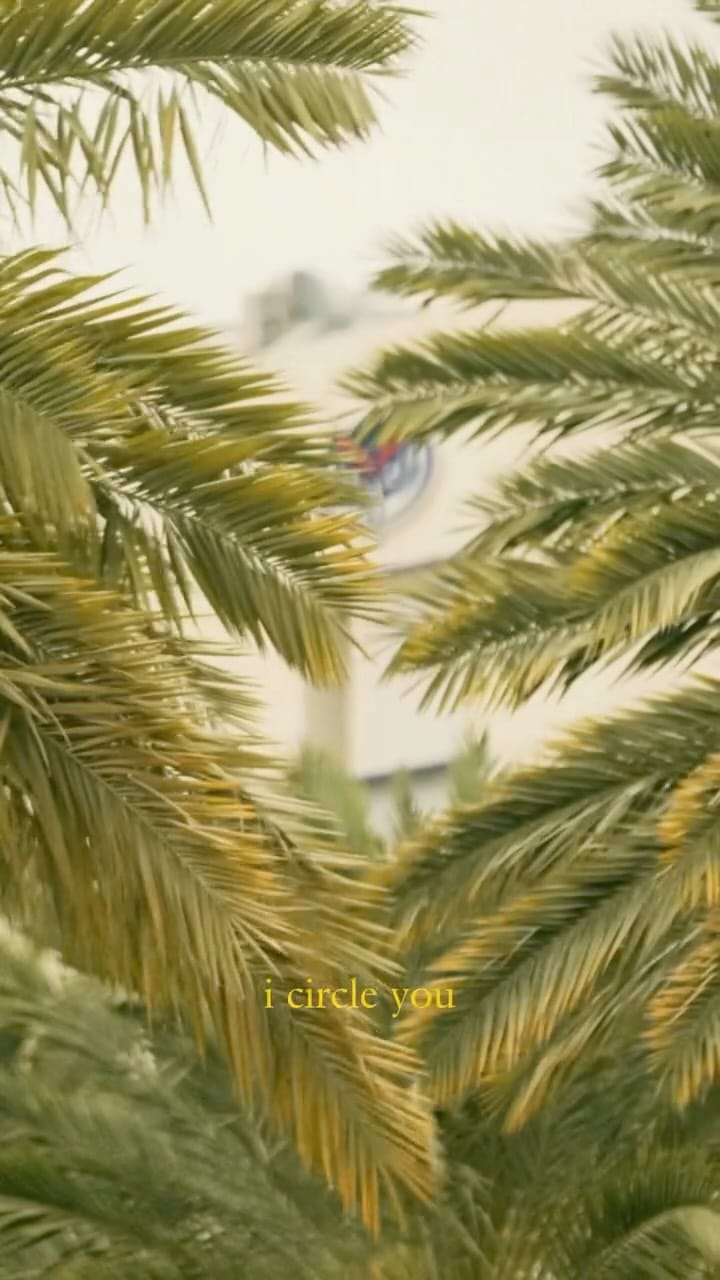 Post 4 by Florida Atlantic Admissions on Instagram (video)