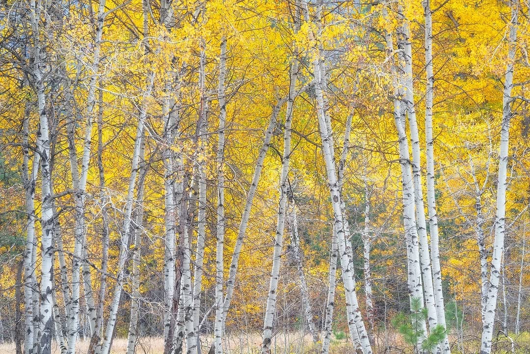Post 6 by Kevin Monahan | PNW | WA | on Instagram (image)