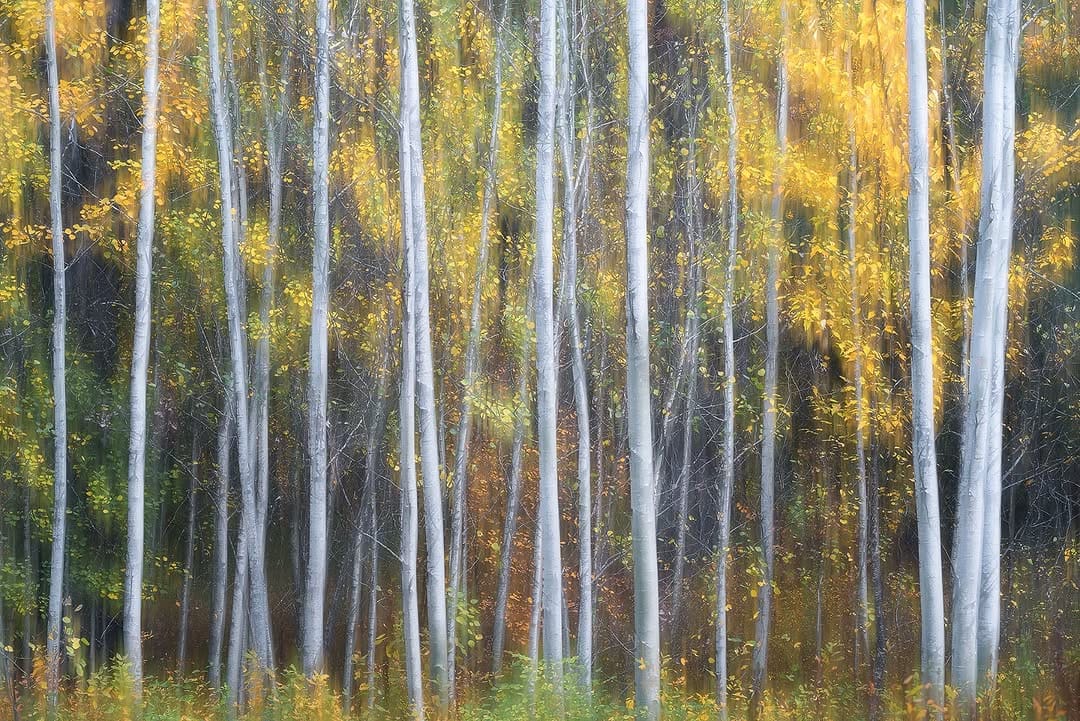 Post 7 by Kevin Monahan | PNW | WA | on Instagram (image)