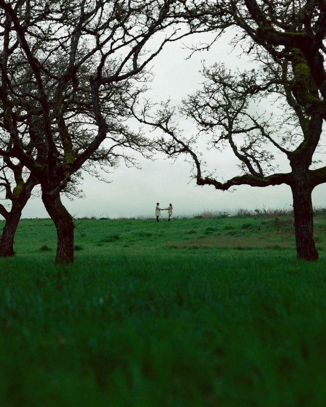 Post 3 by Joshua Mannila - Oregon Photographer on Instagram (carousel)