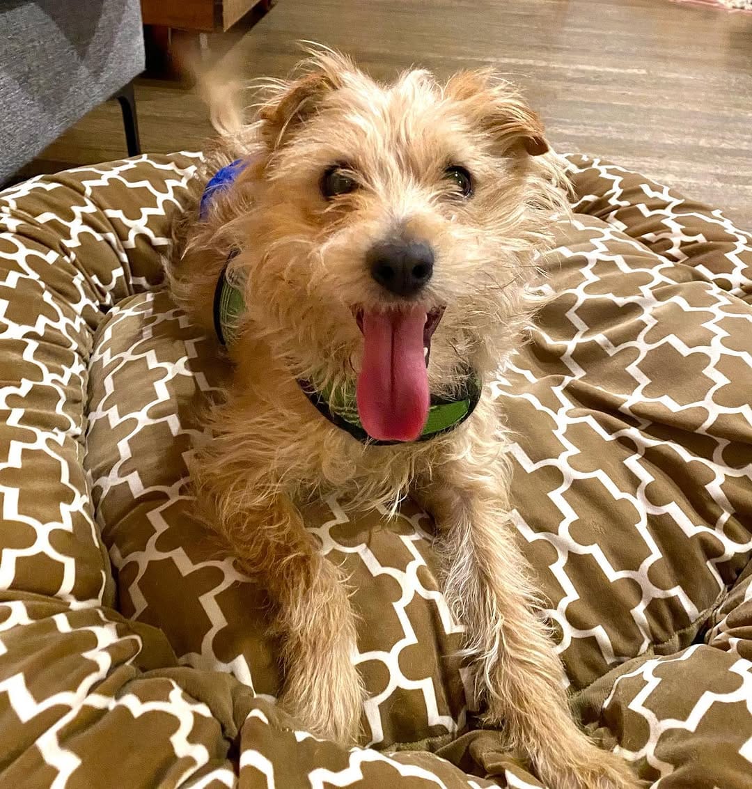 Post 2 by Rescue From The Hart on Instagram (image)