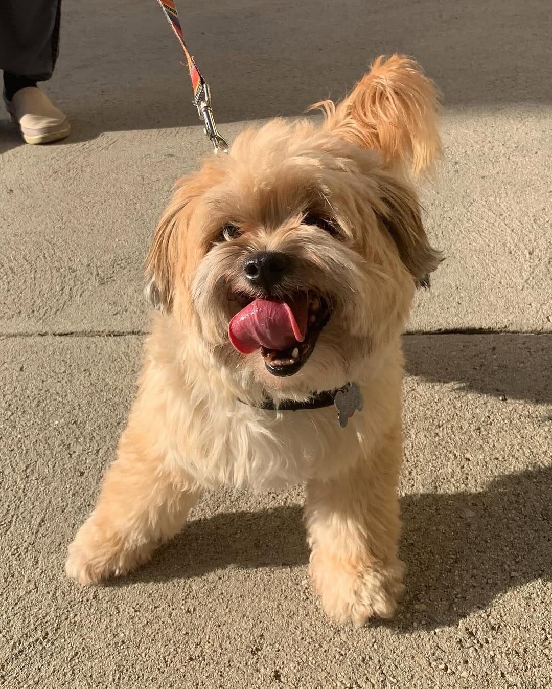 Post 1 by Rescue From The Hart on Instagram (carousel)