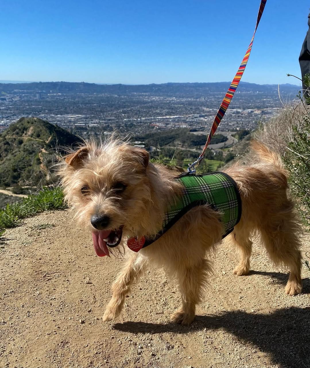 Post 4 by Rescue From The Hart on Instagram (image)