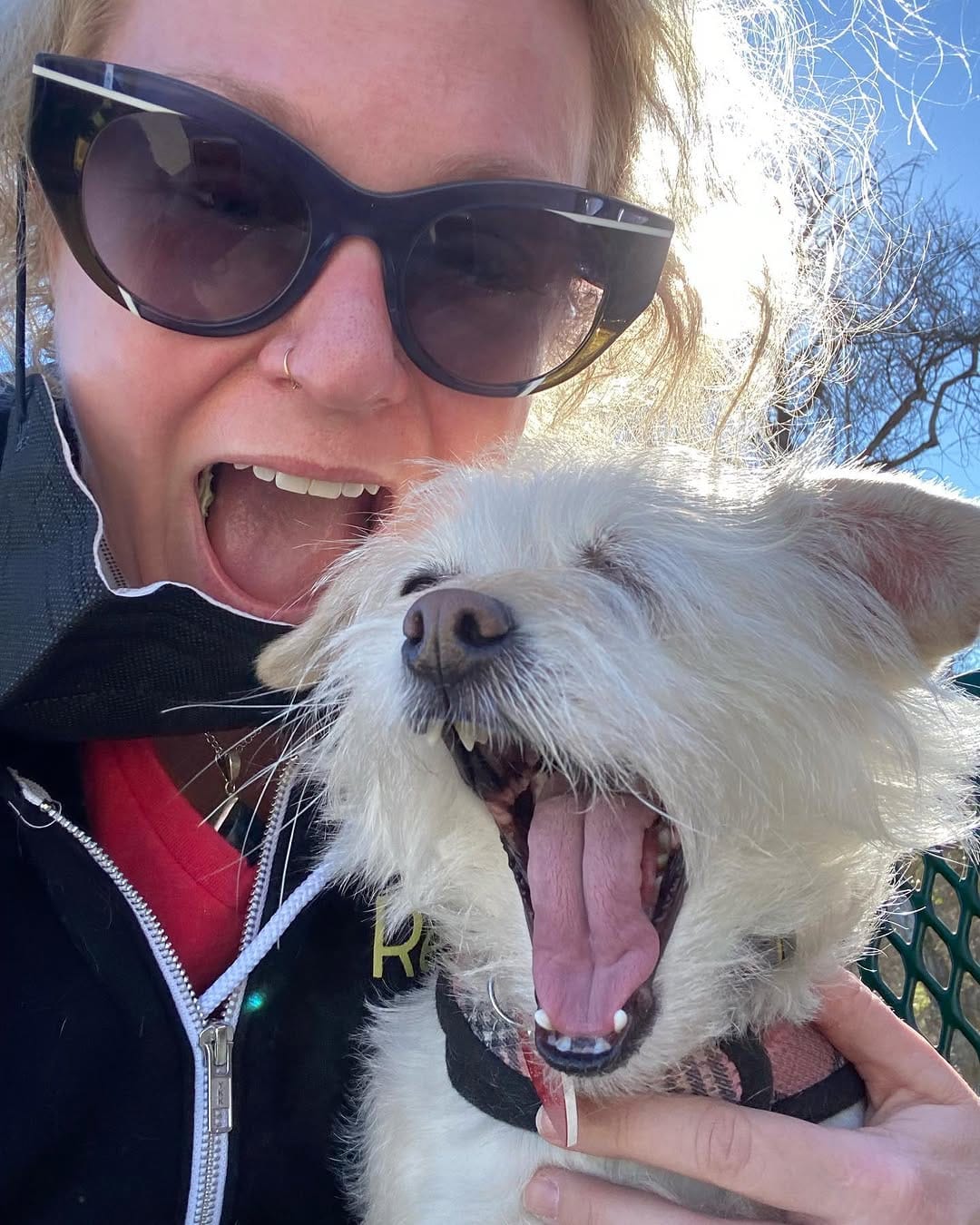 Post 10 by Rescue From The Hart on Instagram (image)