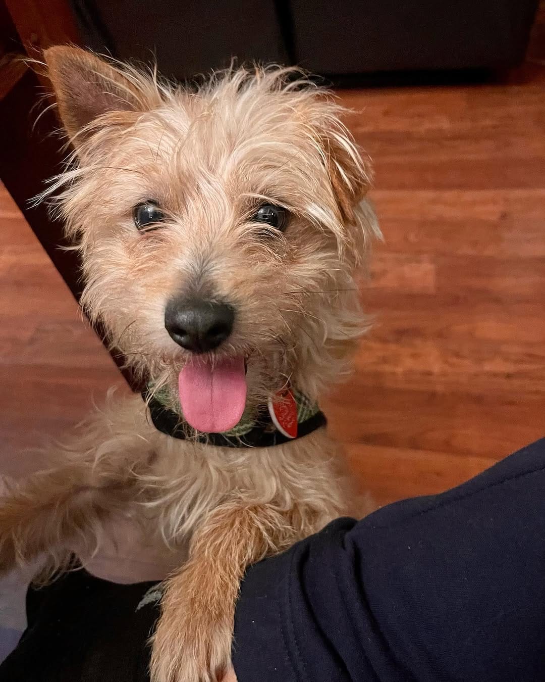 Post 3 by Rescue From The Hart on Instagram (image)