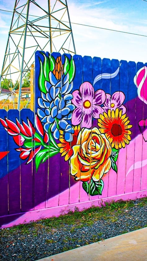 Post 10 by Ryan - Houston Artist on Instagram (video)